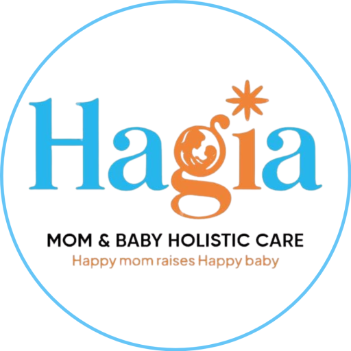 LOGO HBS - FAVICON WEB